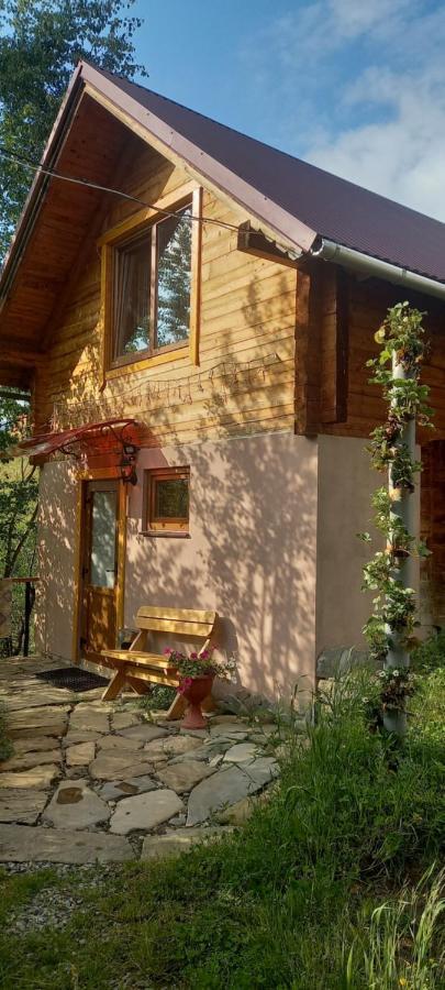 Марічка Marichka Villa วอรอคตา ภายนอก รูปภาพ